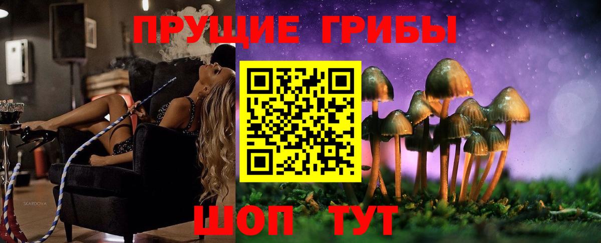 Псилоцибиновые грибы Cubensis  Галлюциногенные грибы Cubensis  Вход с VPN  Оренбург 